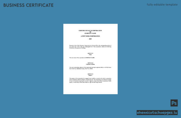 USA New York Gründungsurkunde (Word und PDF), Version 2 – Beispielvorschau